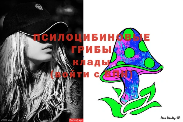 дживик Чегем