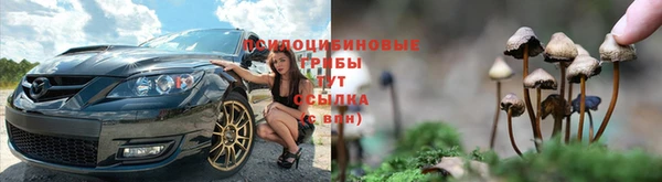 PSILOCYBIN Чекалин
