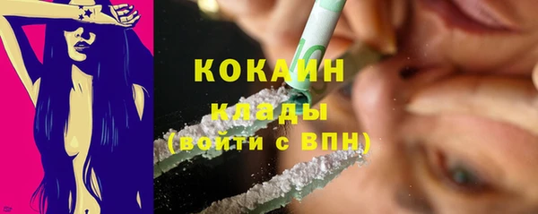 дживик Чегем