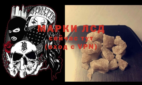 PSILOCYBIN Чекалин