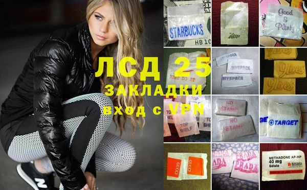 PSILOCYBIN Чекалин