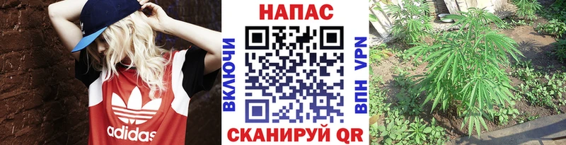 Марихуана тримм  Купить  Сорск 